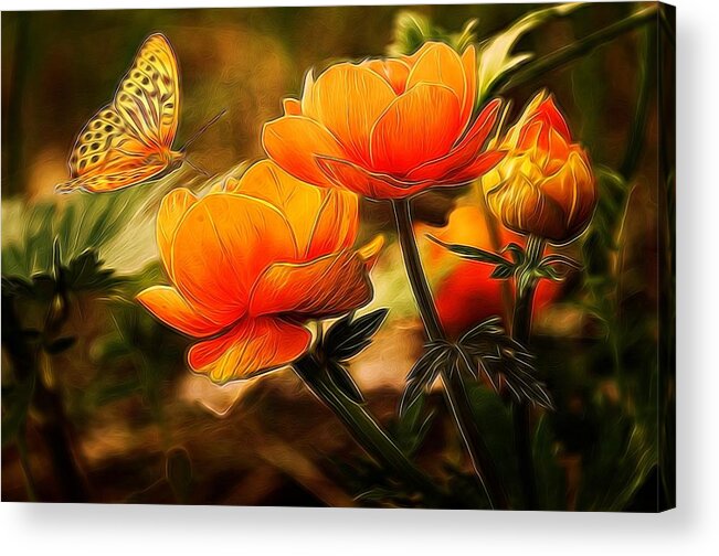 Orange Flowers Acrylic Print featuring the digital art Orange flowers and butterfly by Lilia D