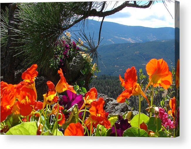 Flowers Acrylic Print featuring the photograph Orange Nasturtium against mountains by Jody Neumann