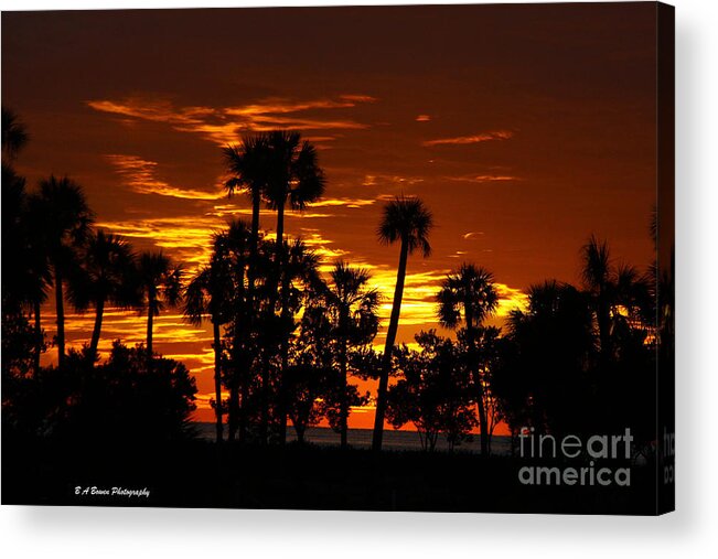 Sunset Acrylic Print featuring the photograph Orange Skies by Barbara Bowen