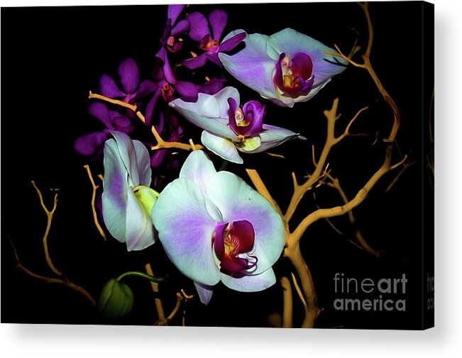 Floral Photography Acrylic Print featuring the photograph Orchids in Water Color by Diana Mary Sharpton