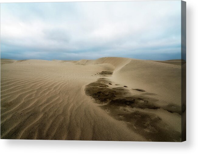 Beach Acrylic Print featuring the photograph Oregon Dune Wasteland 1 by Ryan Manuel