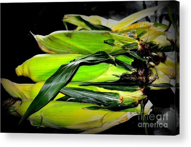 Corn Acrylic Print featuring the photograph Organic Corn 2 by Tatyana Searcy
