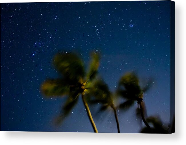 Stars Acrylic Print featuring the photograph Orion and Windswept Palms by Adam Pender