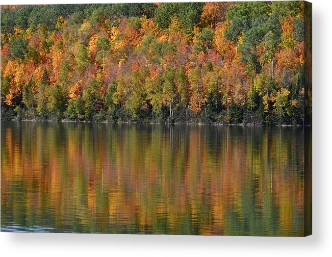  Acrylic Print featuring the photograph Ottawa National Forest by Dan Hefle