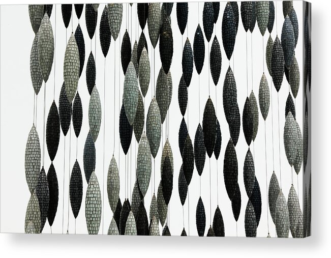 Oval Zebra Stripes Faded Squares Grays Greens Lines Acrylic Print featuring the photograph Oval Zebra Stripes Faded Squares Grays Greens Lines 2 8282017 by David Frederick
