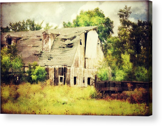 Barn Acrylic Print featuring the photograph Over Grown by Julie Hamilton