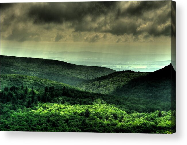 Forest Acrylic Print featuring the photograph Over Shadowing by Scott Wyatt