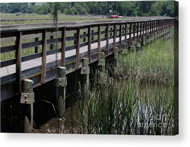 Marsh Acrylic Print featuring the photograph Over the Marsh by Dale Powell