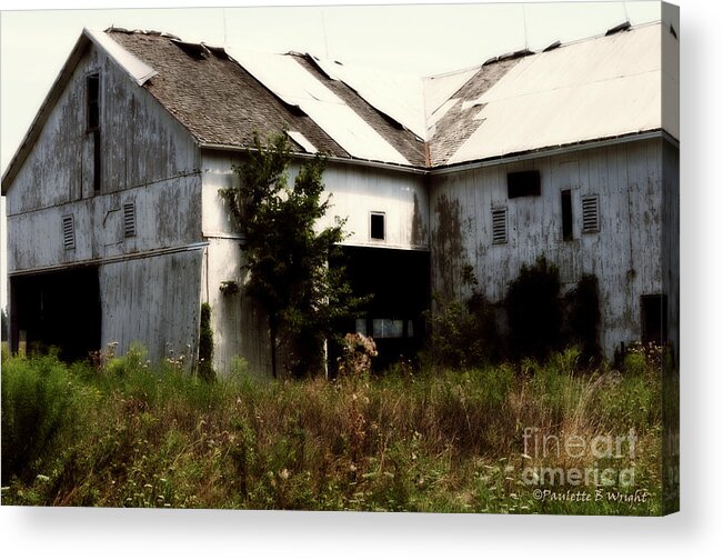 Barn Acrylic Print featuring the photograph Overgrown by Paulette B Wright
