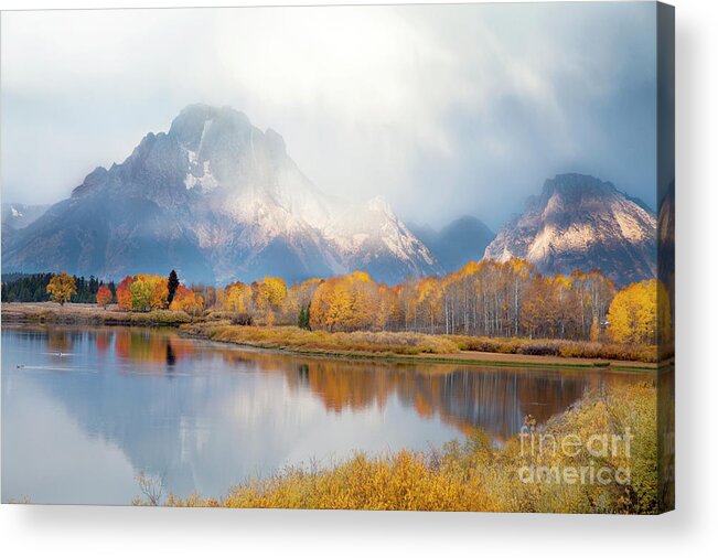 Schwabachers Landing Acrylic Print featuring the photograph Oxbow Bend Turnout, Grand Teton National Park by Greg Kopriva