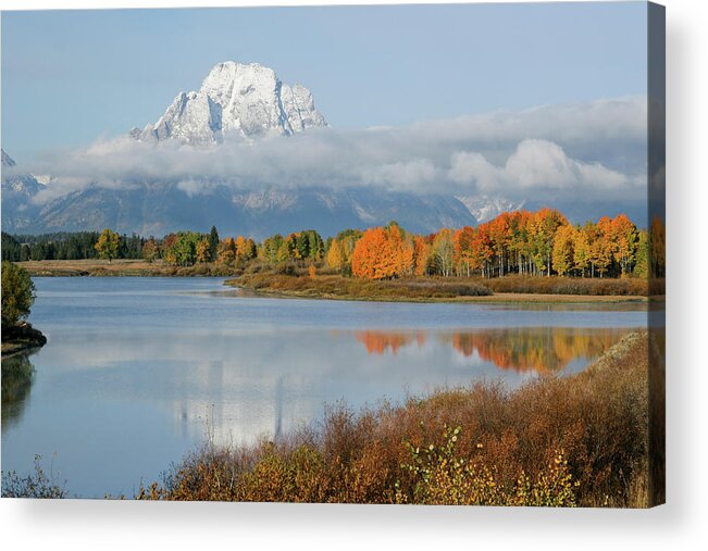 Grand Tetons Acrylic Print featuring the photograph Oxbow Bend by Wesley Aston