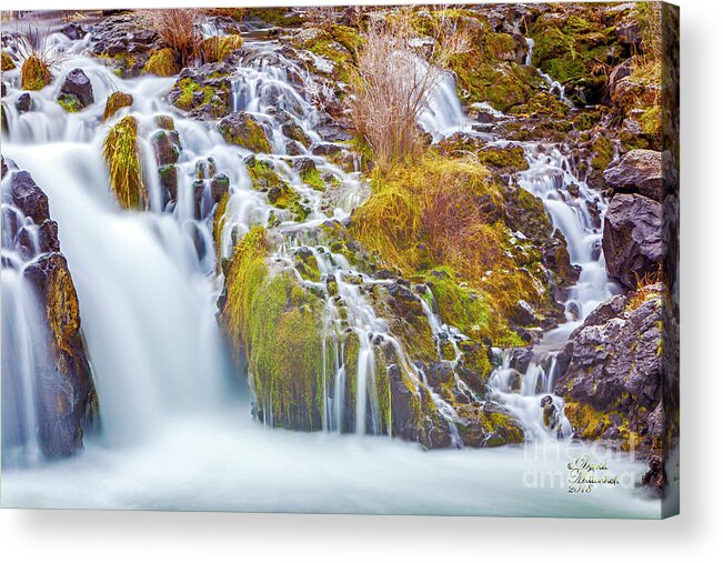 Pacific Northwest Acrylic Print featuring the photograph Pacific Northwest by David Millenheft