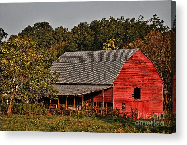 Barn Acrylic Print featuring the photograph Paint it Red by Randy Rogers