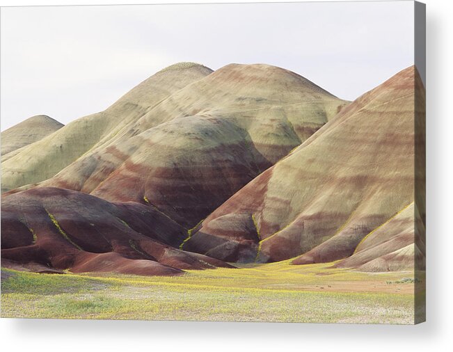 Banded Acrylic Print featuring the photograph Painted Hills by Greg Vaughn - Printscapes