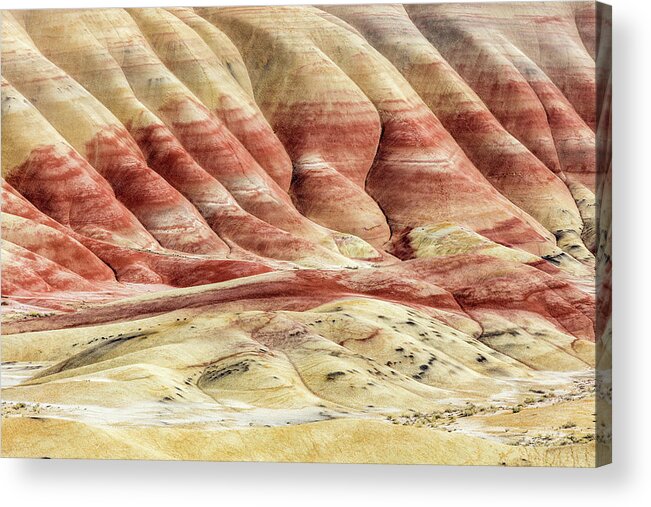 Painted Hills Acrylic Print featuring the photograph Painted Hills Landscape by Pierre Leclerc Photography