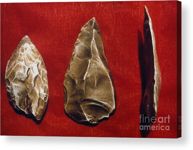 Ancient Acrylic Print featuring the photograph Paleolithic Tools by Granger