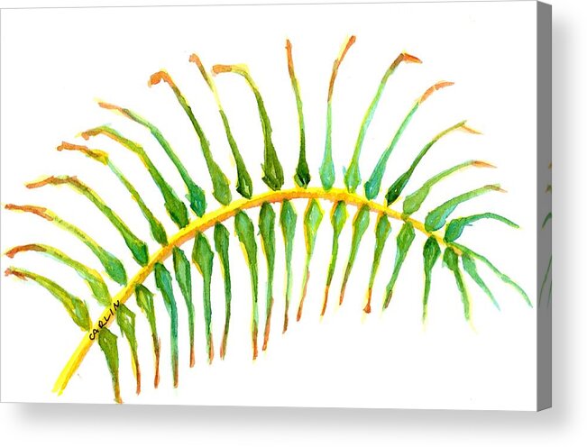 Frond Acrylic Print featuring the painting Palm Leaf Watercolor by Carlin Blahnik CarlinArtWatercolor
