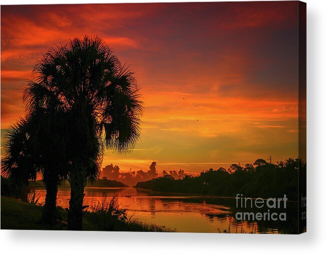 Palm Acrylic Print featuring the photograph Palm Silhouette Sunrise by Tom Claud