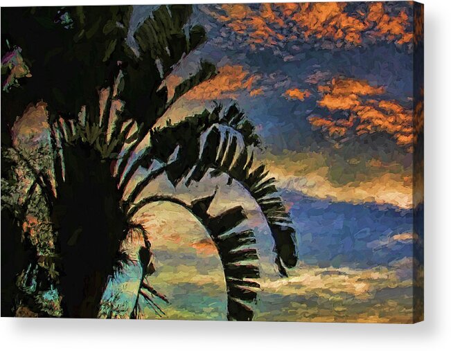 Traveling Palm Acrylic Print featuring the photograph Palm Silhouette Sunset by HH Photography of Florida