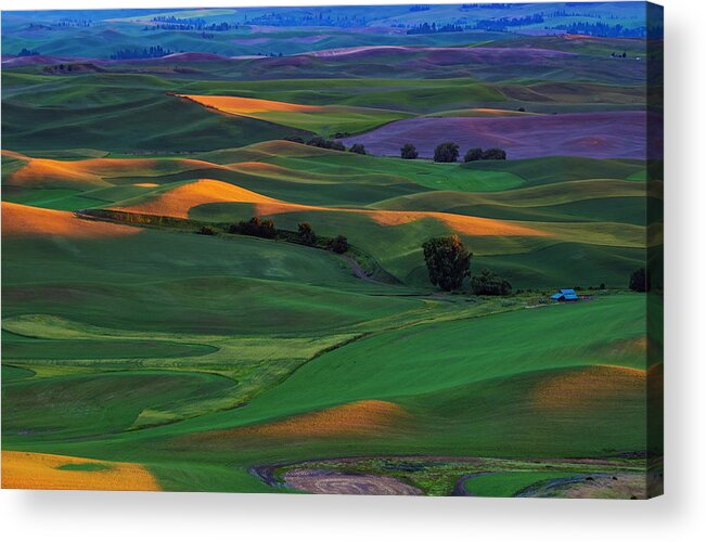 Plowing Acrylic Print featuring the photograph Palouse Sunset from Steptoe Butte State Park by Roberta Kayne