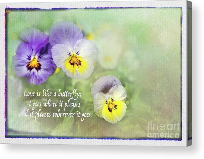 Close-ups Acrylic Print featuring the photograph Pansies and Butterflies by Marilyn Cornwell