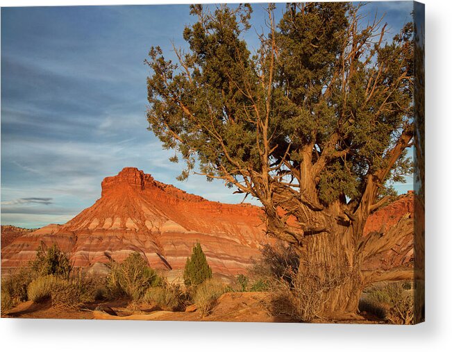 Paria Acrylic Print featuring the photograph Paria by Nancy Dunivin