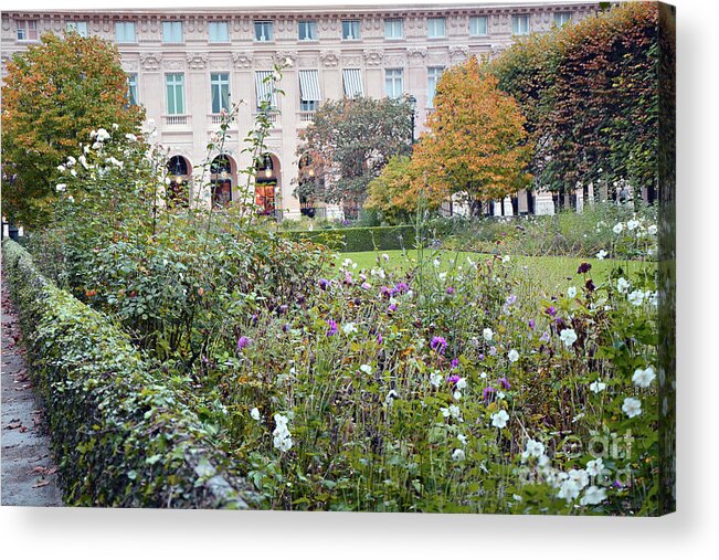 Paris Rose Gardens Acrylic Print featuring the photograph Paris Palais Royal Gardens - Paris Autumn Fall Gardens Palais Royal Rose Garden - Paris In Bloom by Kathy Fornal