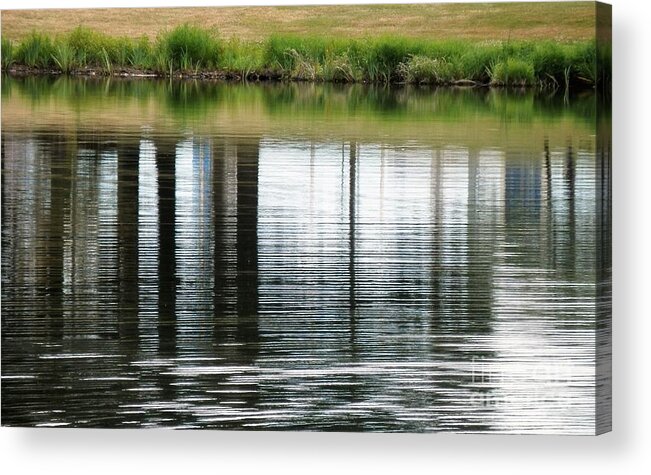 Parks Acrylic Print featuring the photograph Park reflections by Barbara Leigh Art