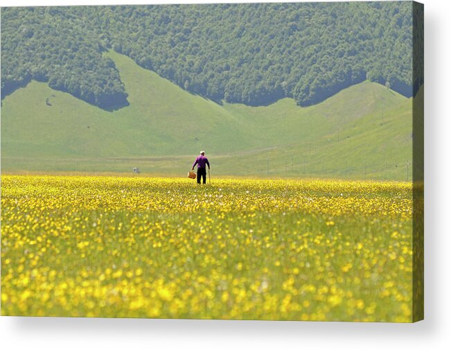 Nature Acrylic Print featuring the photograph Monti Sibillini National Park, Italy 1 by Dubi Roman