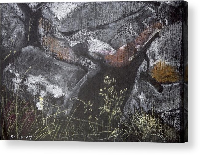  Acrylic Print featuring the painting Pastel Stones and Plants on Black by Kathleen Barnes