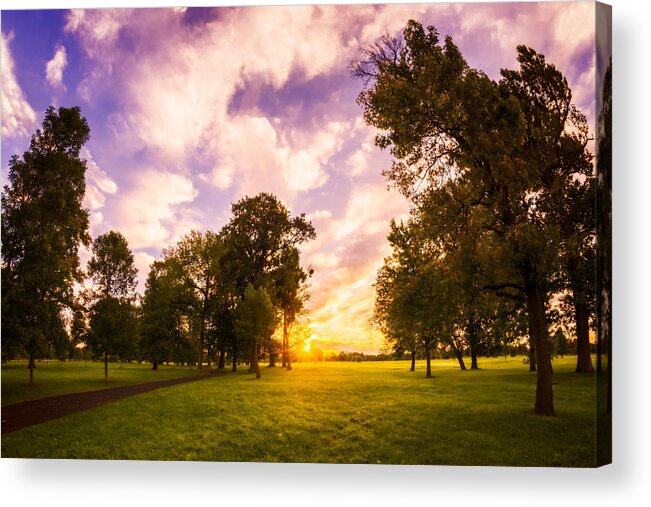 Buffalo Sunrise Acrylic Print featuring the photograph Path Between Mighty Oaks by Chris Bordeleau