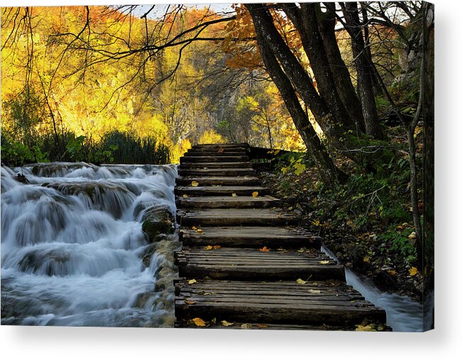 Plitvice Acrylic Print featuring the photograph Path in Plitvice by Ivan Slosar