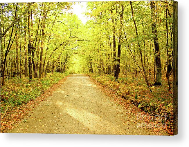 Trail Acrylic Print featuring the photograph Path in the Woods by Becqi Sherman