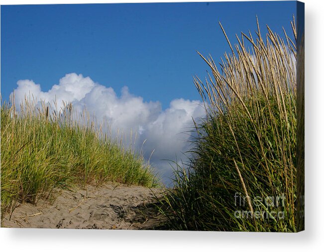 Sea Acrylic Print featuring the photograph Path to the Beach by Jeanette French