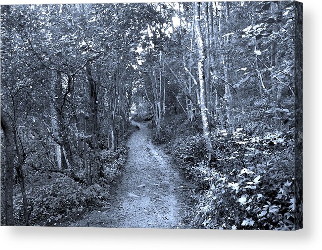 Wood Acrylic Print featuring the digital art Path Trough the Blue Wood by Vicki Lea Eggen