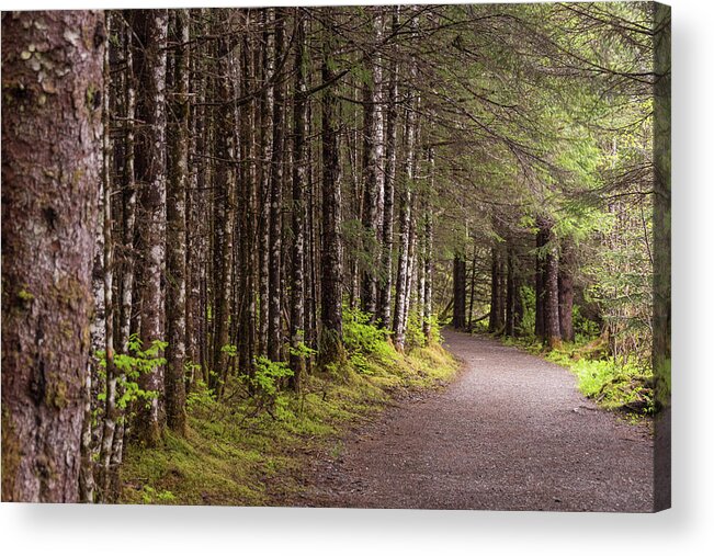 Bartlett Cove Acrylic Print featuring the photograph Pathway Away by Kristopher Schoenleber