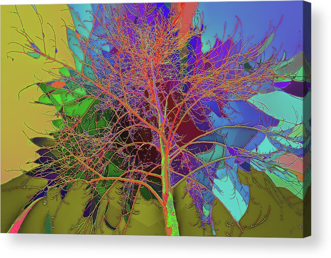 Kenneth James Acrylic Print featuring the photograph P C C Elm in the wait of bloom by Kenneth James