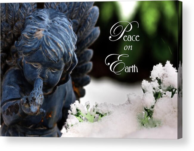 Angel Acrylic Print featuring the photograph Peace on Earth Angel by Shelley Neff