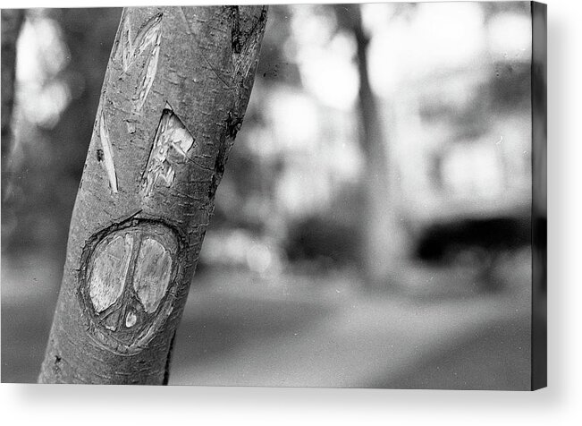 Peace Sign Acrylic Print featuring the photograph Peace Sign Carving, 1975 by Jeremy Butler