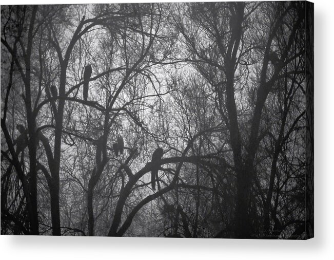 Abstract Acrylic Print featuring the photograph Peacocks In The Mist bw by Denise Dube