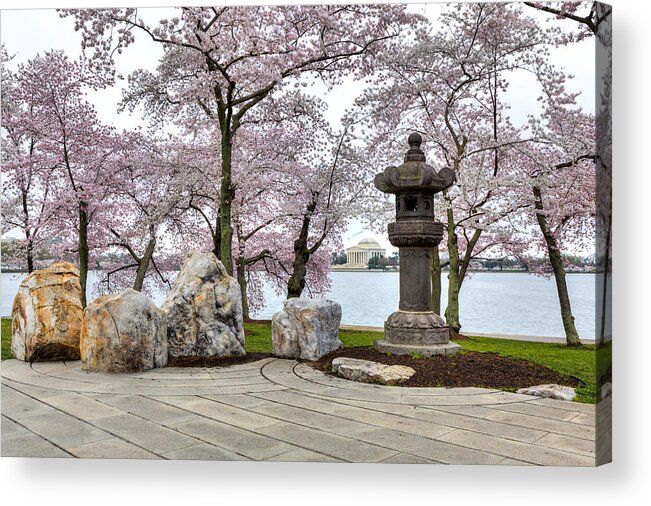 Sakura Acrylic Print featuring the photograph Peak-a-boo by Edward Kreis