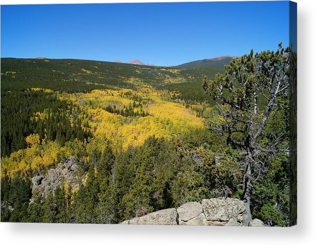 Autumn In Colorado Acrylic Print featuring the photograph Peak to Peak in Fall by Dennis Boyd