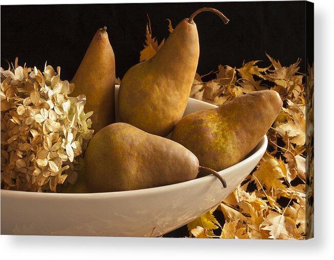 Pears Acrylic Print featuring the photograph Pears And Hydrangea Still Life by Sandra Foster