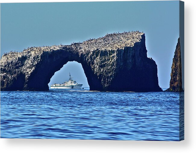 Sea Acrylic Print featuring the photograph Peek A Boo by Diana Hatcher