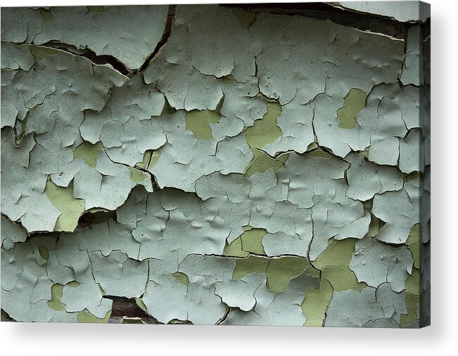 Paint Acrylic Print featuring the photograph Peeling 2 by Mike Eingle