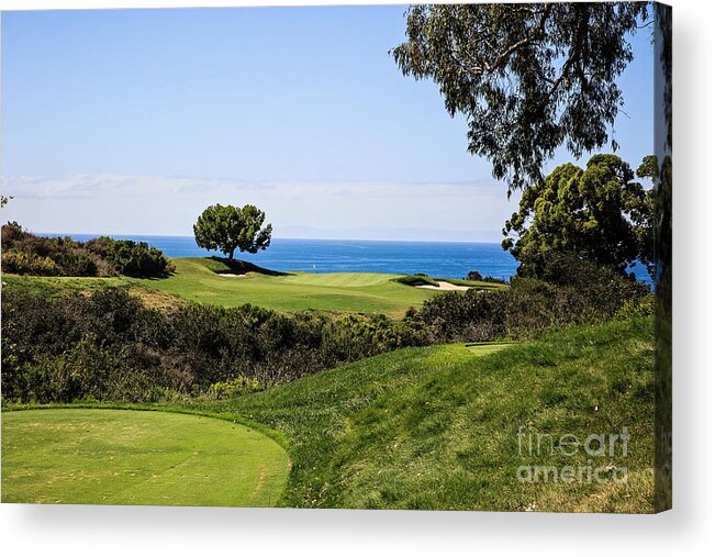 Pelican Hill Acrylic Print featuring the photograph Pelican Hill #16 South Course by Scott Pellegrin