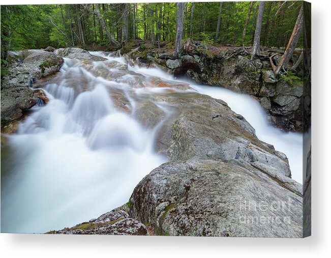 Cascade Acrylic Print featuring the photograph Pemigewasset River - Franconia Notch, White Mountains by Erin Paul Donovan