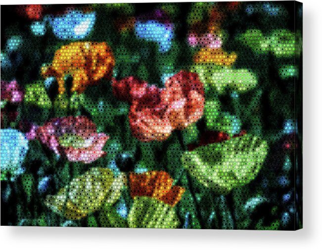 Flowers Acrylic Print featuring the digital art Peppered Blossom Beauties by Carol Crisafi