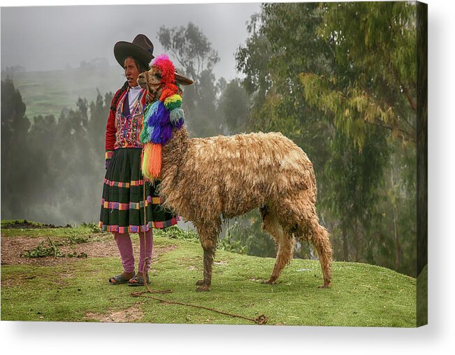 Peru Acrylic Print featuring the photograph Peruvian Llama by John Haldane