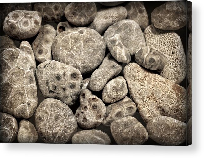 Stone Acrylic Print featuring the photograph Petoskey Stones Vl by Michelle Calkins